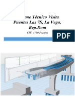 Informe Técnico Visita Puentes Las 7S