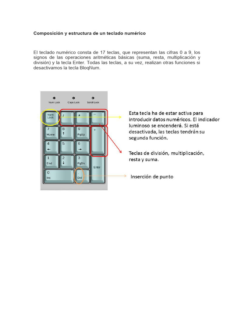 Estructura y funciones del teclado numérico | PDF
