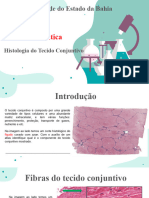 Estudo Dirigido de Histologia - Tecido Conjuntivo