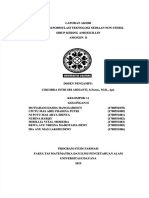 PDF Laporan Sirup Kering Kelompok 11 Compress