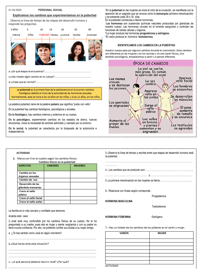 Cambios en la Pubertad para Niños | PDF | Pubertad | Hombre