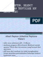 Alkali Pepton, TSB, Selenit