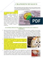 Trauma Cranioencefálico