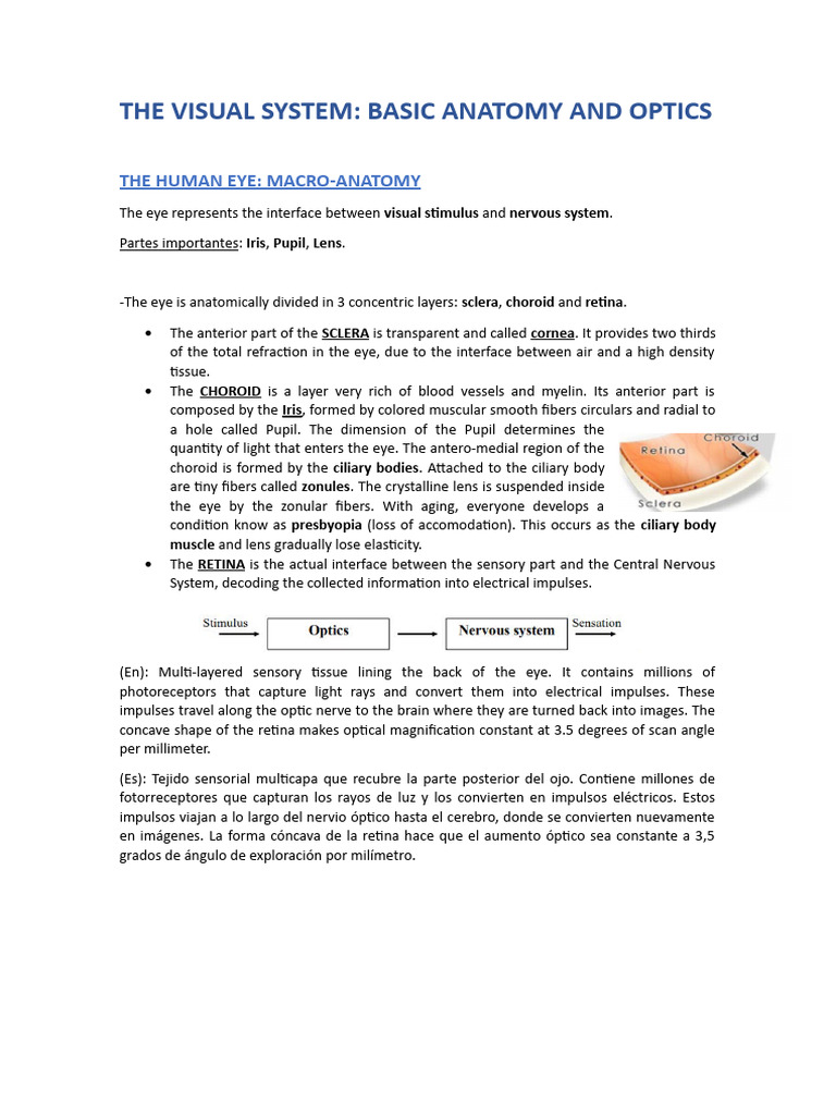 CLINICAL ANATOMY AND PHYSIOLOGY OF THE VISUAL SYSTEM PDF DOWNLOAD visual data 3