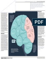 Hepatic Encephalopathy