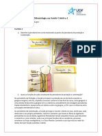 Portfólio 2 - (Acadêmica Anna Lopes)