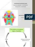 Bioenergetica & Glicólise