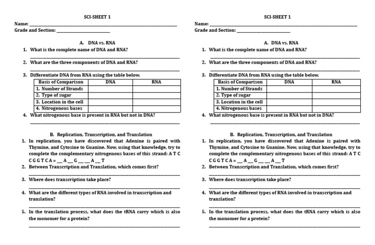 Sci-Sheet 1 | PDF | Rna | Dna
