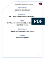 Derecho Societario - Mariela Orellana Ponce - Resumen Libro - Capítulo V
