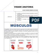 MUSCULOS