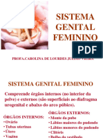 Sistema Genital Feminino Profa - Carolina Julião