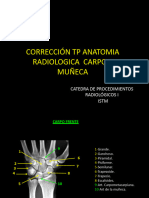 Correccion - TP - Anatomia - Carpo - y - Mun - Eca 3