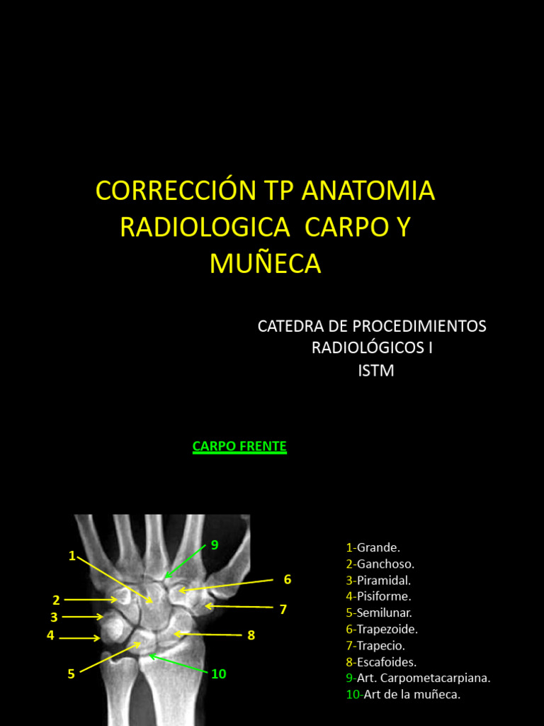 Correccion - TP - Anatomia - Carpo - y - Mun - Eca 3 | PDF | Sistema ...
