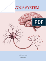 Nervous System: Fasil Ahmed (MSC) March 2024