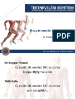 MTSZ HK 1. Idegrenszer Elemi Jelenségei Központi Idegrendszer