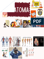 Presentación Órganos Del Cuerpo Humano Ilustrada Colorida