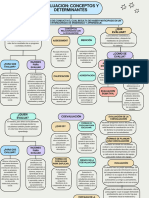 Mapa Concetual Sobre La Evaluacion Conceptos y Determinantes