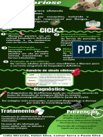 Infográfico Dirofilariose