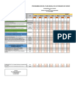 Matriz de Programacion Anual de Actividades - Farmacia