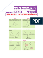 Lineas Notables