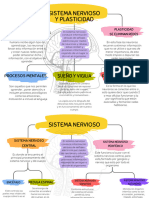 Proyecto 2 Bases de La Conducta