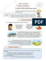 Actividad Ciencia y Tecnología Martes 19 de Abril - 2° Grado