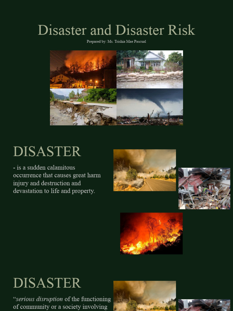Disaster and Disater Risk | PDF | Hazards | Natural Disasters