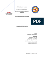 Biomecánica Complejo-Pelvis-Cadera PDF