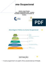 Apontamentos Asma Ocupacional Aula Clinica Do Trabalho MSO