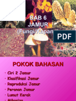 Bab 6 Jamur