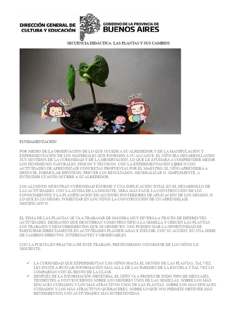 Secuencia Didáctica sobre Plantas | PDF | Tallo de la planta | Hoja
