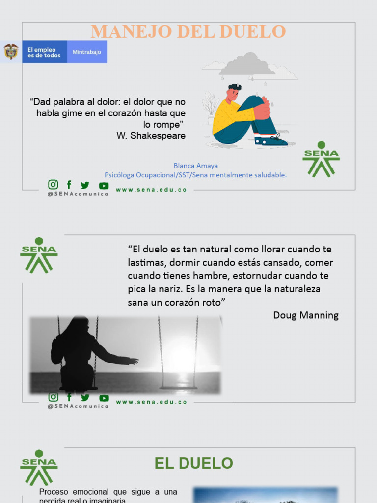 Manejo de Duelo y Emociones | PDF | Las emociones | Dolor