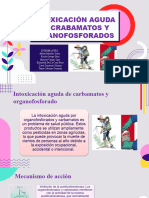 Carbamatos y Organofosforado Cambio