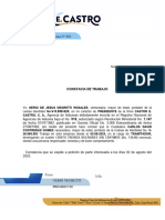 Carta Trabajo Modelo