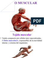 Tejido Muscular 2020