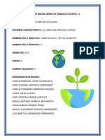 Practica-3-"Adaptacion Al Tipo de Alimento".