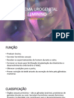Sistema Urogenital Feminino