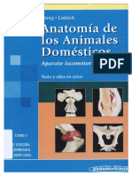 Anatomía de Los Animales Domésticos-KÖNIG, LIEBICH (Aparato Locomotor)