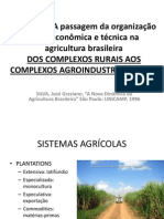 Agricultura Brasileira: da Economia Natural aos Complexos Agroindustriais