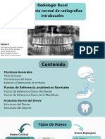 Anatomía Normal de Radiografías Intrabucales