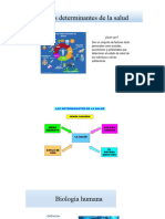 Factores Determinantes de La Salud (Autoguardado)