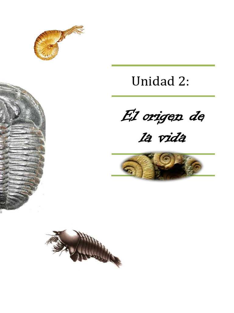 U2 - El Origen de La Vida | PDF | Abiogénesis | Atmósfera