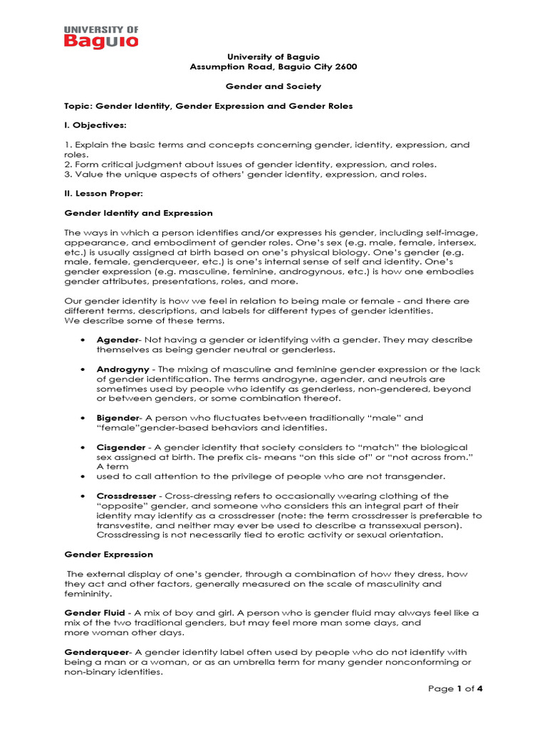 Lesson 2 Gender Expression and Gender Roles | PDF | Gender | Gender Studies