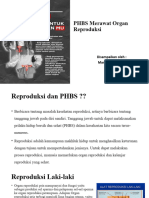 Phbs&reproduksi