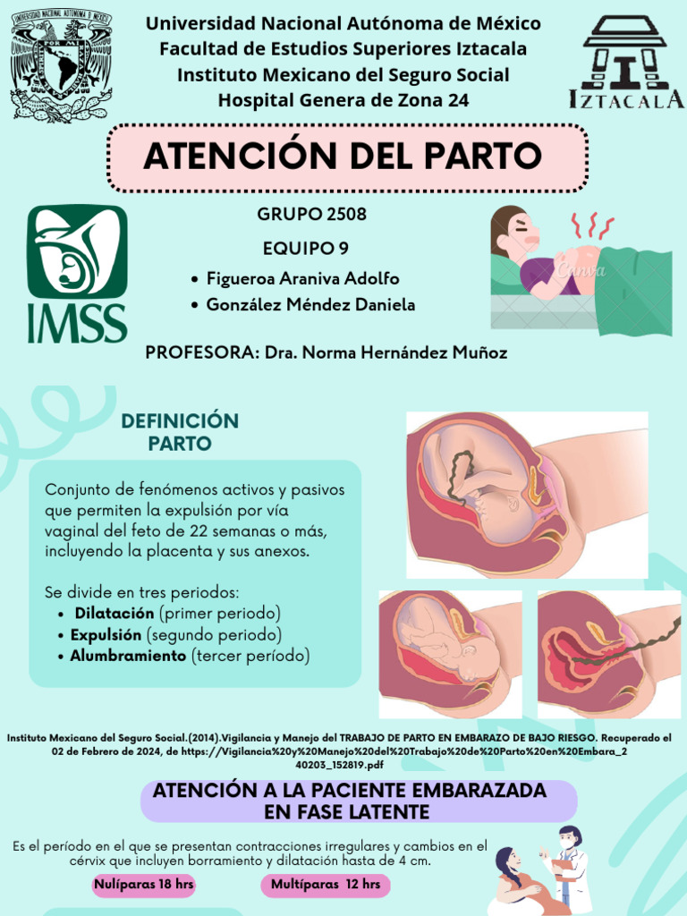Atención Integral en el Trabajo de Parto | PDF | Parto | Cuidado de la ...