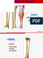 Aula16 Perna