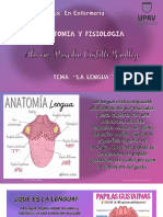 Presentacion Anatomia