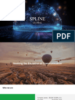 About Spline Global
