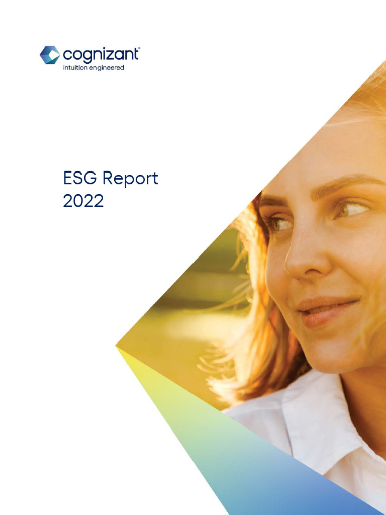 Cognizant visual data 2