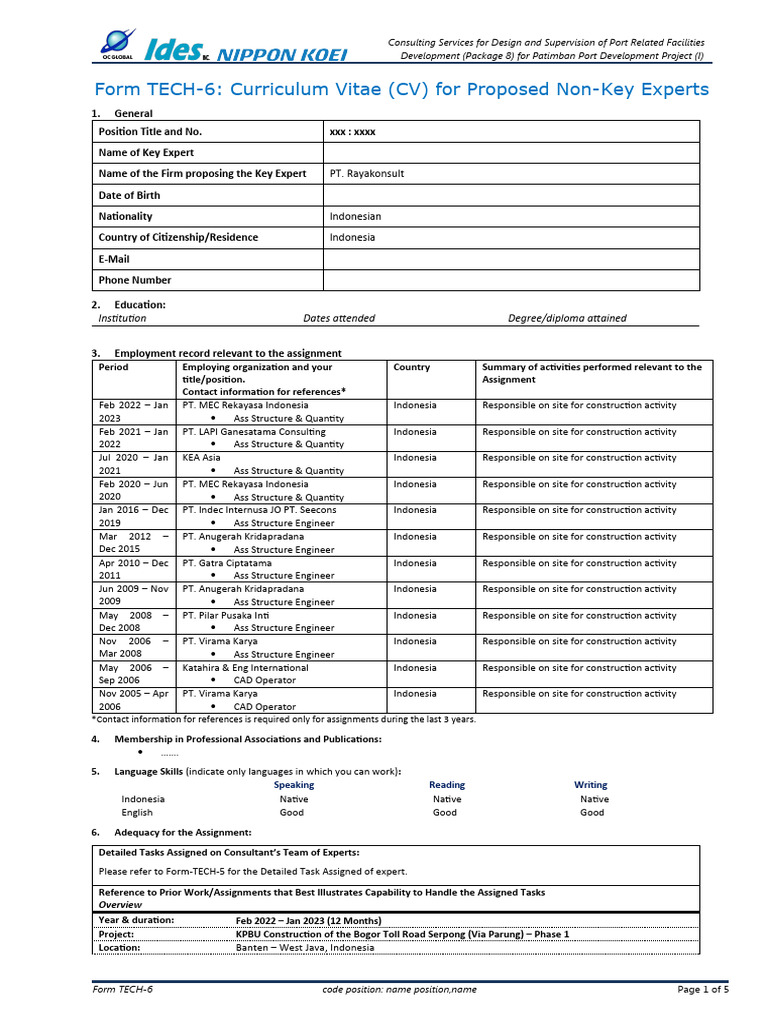 CV Template | PDF | Science | Engineering